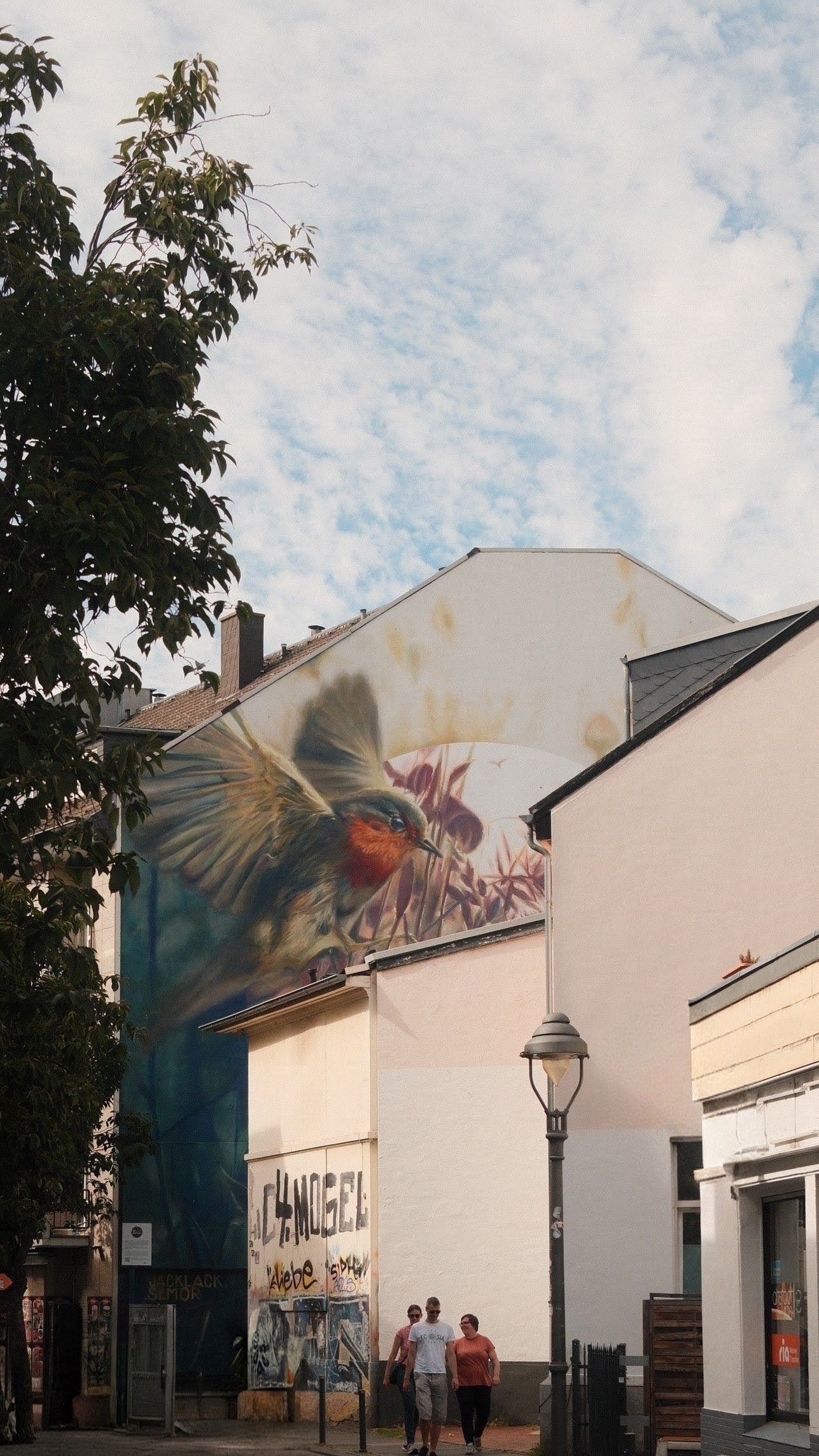 Bonn_Streetarttour_Rotkehlchen©TBorgert Das Foto zeigt ein Wandbild auf einer Straße. Es handelt sich um Streetart. Das Rotkehlen landet auf einem Dach. Das sogenannte Mural befindet sich auf Maxstraße 58. Das Foto wurde von Fotograf Toni Borgert aufgenommen